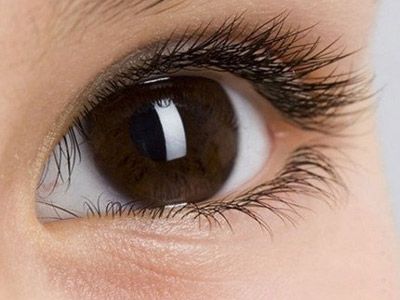 微创整形培训有哪些课程? 微创整形培训